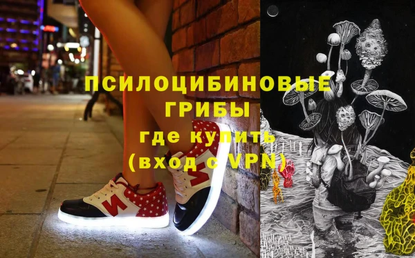 индика Алексеевка