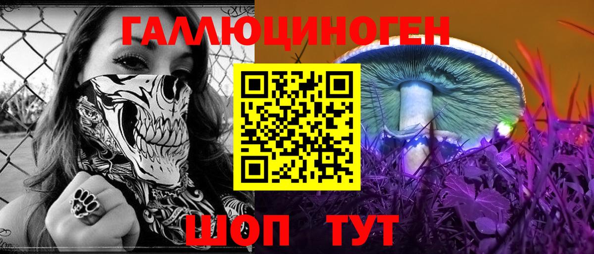 Тихвин  Псилоцибиновые грибы прущие грибы  Вход с VPN 