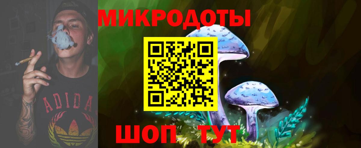 Псилоцибиновые грибы мицелий Тихвин