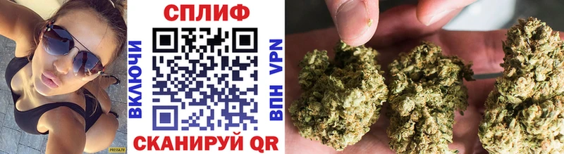 Бошки Шишки LSD WEED где купить Тихвин